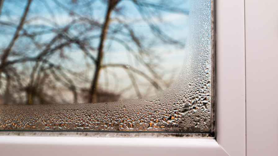 117 Feuchte Fenster im Winter Blog SEO