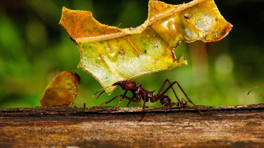 215_Welches Dämmsystem ist das richtige_Blog_Slider